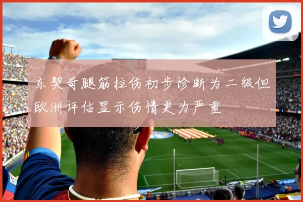 东契奇腿筋拉伤初步诊断为二级但欧洲评估显示伤情更为严重
