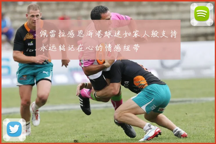 佩雷拉感恩海港球迷如家人般支持永远铭记在心的情感纽带