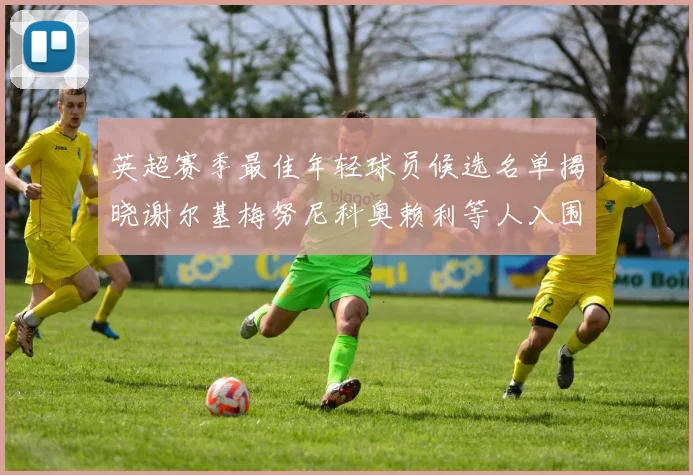 英超赛季最佳年轻球员候选名单揭晓谢尔基梅努尼科奥赖利等人入围