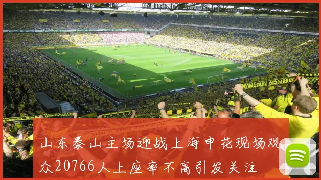 山东泰山主场迎战上海申花现场观众20766人上座率不高引发关注